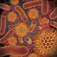 Infectious Disease Compendium: A Persiflager
